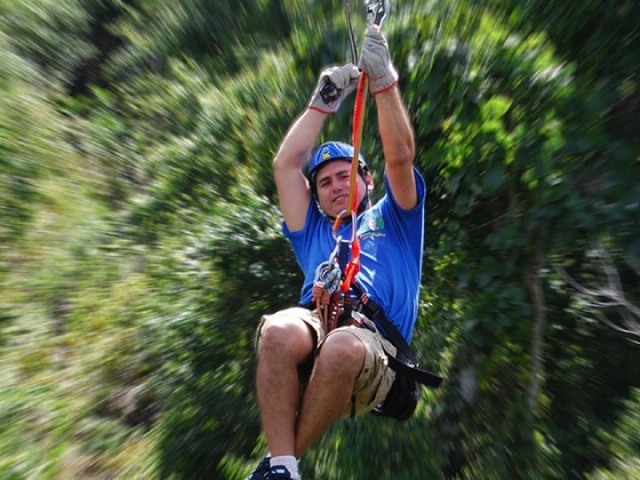  Mayan jungle 